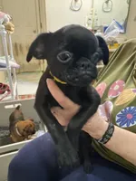 processed/a5c2c586-59ab-429b-963d-62654bbf965e/listing/79a7d51f-eb89-4e05-98ca-f09f4d72b96d/4eb26ce1-d727-4cfd-b0b4-c22ffa70a170