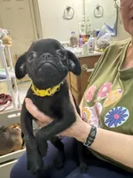 processed/a5c2c586-59ab-429b-963d-62654bbf965e/listing/79a7d51f-eb89-4e05-98ca-f09f4d72b96d/7532ed55-1e56-4d85-a31c-bc8cbf9c74c8