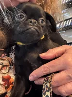 processed/a5c2c586-59ab-429b-963d-62654bbf965e/listing/79a7d51f-eb89-4e05-98ca-f09f4d72b96d/b08f9659-e522-4f00-81a2-9d5a6ec92633