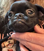 processed/a5c2c586-59ab-429b-963d-62654bbf965e/listing/79a7d51f-eb89-4e05-98ca-f09f4d72b96d/ccf05875-a6ae-4f47-a5ec-b72ba1012c8b