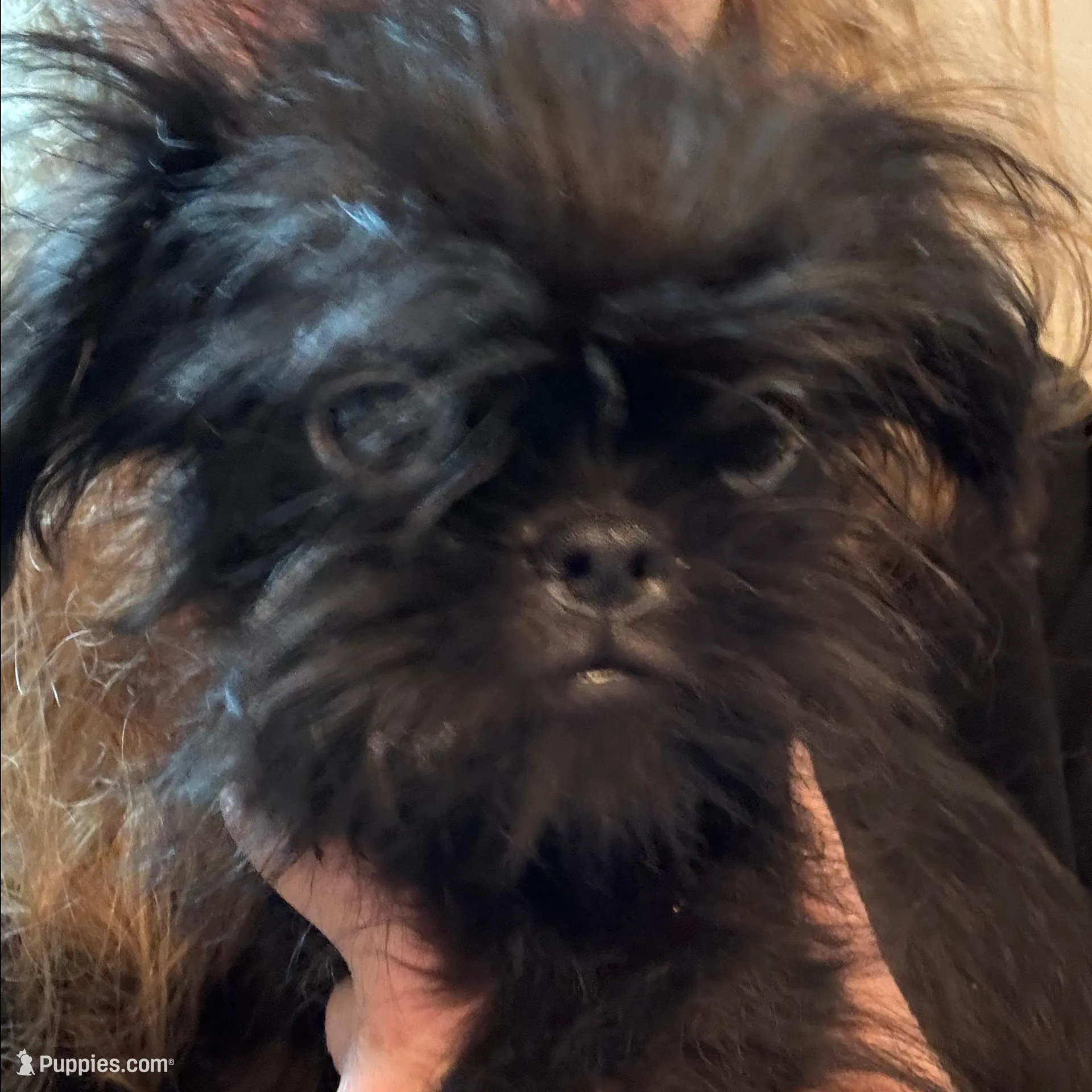 processed/a5c2c586-59ab-429b-963d-62654bbf965e/listing/ad548f3f-637e-4ef2-9118-508478f7d63a/acaf8030-31cd-4bbe-8e97-28e8fe3feec2