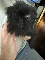 processed/a5c2c586-59ab-429b-963d-62654bbf965e/listing/ad548f3f-637e-4ef2-9118-508478f7d63a/c853d7a0-ebaf-4363-a155-2c8abefa6ddf