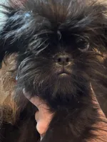 processed/a5c2c586-59ab-429b-963d-62654bbf965e/listing/ad548f3f-637e-4ef2-9118-508478f7d63a/da390921-7150-4427-a8f3-926ffce0978e