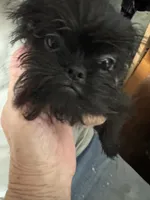 processed/a5c2c586-59ab-429b-963d-62654bbf965e/listing/ad548f3f-637e-4ef2-9118-508478f7d63a/eca87998-7459-4f22-8588-c7059a61b80a