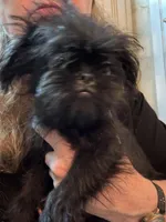 processed/a5c2c586-59ab-429b-963d-62654bbf965e/listing/ad548f3f-637e-4ef2-9118-508478f7d63a/ed0c8f60-a205-4dd8-a480-9cdf7d04fe90