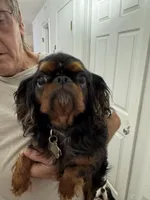 processed/a5c2c586-59ab-429b-963d-62654bbf965e/listing/b77d1455-943b-43f4-96ae-07915917491c/203679b9-01da-412e-b953-d909dc7e6f6a