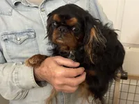 processed/a5c2c586-59ab-429b-963d-62654bbf965e/listing/b77d1455-943b-43f4-96ae-07915917491c/69906387-5d87-4e01-b56f-4d35f6dc2c6b