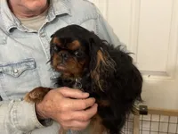 processed/a5c2c586-59ab-429b-963d-62654bbf965e/listing/b77d1455-943b-43f4-96ae-07915917491c/9d596f2e-71d8-49da-a96d-59bbb8e95c8e