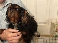 processed/a5c2c586-59ab-429b-963d-62654bbf965e/listing/b77d1455-943b-43f4-96ae-07915917491c/e0eaf476-f466-4681-8ad9-bf52361b70ad