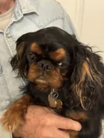 processed/a5c2c586-59ab-429b-963d-62654bbf965e/listing/b77d1455-943b-43f4-96ae-07915917491c/ebb96f38-9999-4b77-a887-54adedb0f6f5