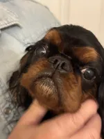 processed/a5c2c586-59ab-429b-963d-62654bbf965e/listing/b77d1455-943b-43f4-96ae-07915917491c/f23de513-cd4d-4bed-8989-9fe1f1e83cf2