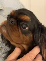 processed/a5c2c586-59ab-429b-963d-62654bbf965e/listing/b77d1455-943b-43f4-96ae-07915917491c/fa0a1858-b8fa-4b39-aecd-99bc10fd2989