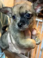 processed/a5c2c586-59ab-429b-963d-62654bbf965e/listing/da425f5c-3e5e-4d6a-a852-8251101e8c7f/0eab8c8d-cfd7-4035-b075-6199b30e0a94