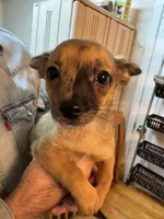 processed/a5c2c586-59ab-429b-963d-62654bbf965e/listing/da425f5c-3e5e-4d6a-a852-8251101e8c7f/2c3d0242-e75b-495f-b977-a5d2e0c57daa