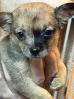 processed/a5c2c586-59ab-429b-963d-62654bbf965e/listing/da425f5c-3e5e-4d6a-a852-8251101e8c7f/3121f89a-6e85-4991-aa57-87ddb437f283