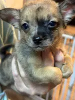 processed/a5c2c586-59ab-429b-963d-62654bbf965e/listing/da425f5c-3e5e-4d6a-a852-8251101e8c7f/70e25d10-8479-4af7-a3d8-1033d236bf9f