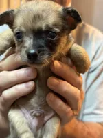 processed/a5c2c586-59ab-429b-963d-62654bbf965e/listing/da425f5c-3e5e-4d6a-a852-8251101e8c7f/77b49a49-7b14-4605-a394-9ba7a8500254