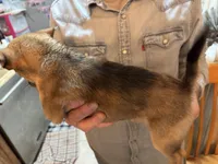 processed/a5c2c586-59ab-429b-963d-62654bbf965e/listing/da425f5c-3e5e-4d6a-a852-8251101e8c7f/7a21be80-7fad-455a-ab81-325fc9245265