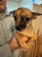 processed/a5c2c586-59ab-429b-963d-62654bbf965e/listing/da425f5c-3e5e-4d6a-a852-8251101e8c7f/aae5b9dc-3dbe-4934-8394-457075a43347