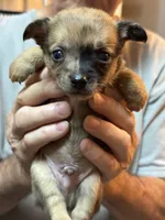 processed/a5c2c586-59ab-429b-963d-62654bbf965e/listing/da425f5c-3e5e-4d6a-a852-8251101e8c7f/f344b652-cdd9-45cc-9a30-ea5464962800