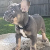 processed/a5c6a437-0d7d-45a8-9bfb-cb3676eeb314/facility/2de4f4b4-c6ef-4a68-a51d-ec48920512dc