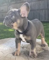 processed/a5c6a437-0d7d-45a8-9bfb-cb3676eeb314/facility/2de4f4b4-c6ef-4a68-a51d-ec48920512dc