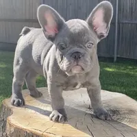 processed/a5c6a437-0d7d-45a8-9bfb-cb3676eeb314/facility/363e6cb8-48d8-48cd-b414-2bf16e40f070