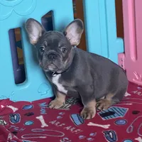 processed/a5c6a437-0d7d-45a8-9bfb-cb3676eeb314/facility/40c32eee-d829-4973-9c57-07c91ad8da20