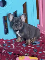 processed/a5c6a437-0d7d-45a8-9bfb-cb3676eeb314/facility/40c32eee-d829-4973-9c57-07c91ad8da20