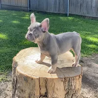 processed/a5c6a437-0d7d-45a8-9bfb-cb3676eeb314/facility/452a4e96-a0d4-40e9-a94c-193157bcbd41