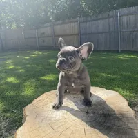 processed/a5c6a437-0d7d-45a8-9bfb-cb3676eeb314/facility/771fc282-97c5-4e68-97e3-d8b61c1f02c0