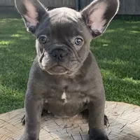 processed/a5c6a437-0d7d-45a8-9bfb-cb3676eeb314/facility/ba7d9352-807a-40f2-8e7c-1dc018a935ef