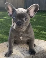 processed/a5c6a437-0d7d-45a8-9bfb-cb3676eeb314/facility/ba7d9352-807a-40f2-8e7c-1dc018a935ef