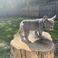 processed/a5c6a437-0d7d-45a8-9bfb-cb3676eeb314/facility/bf29162d-d1ab-4dcb-af73-d5eed7b70fcd