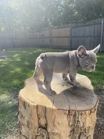 processed/a5c6a437-0d7d-45a8-9bfb-cb3676eeb314/facility/bf29162d-d1ab-4dcb-af73-d5eed7b70fcd