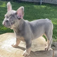 processed/a5c6a437-0d7d-45a8-9bfb-cb3676eeb314/facility/d67dddf3-f8bc-49f3-89ec-bfc9f5479aa9