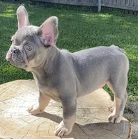 processed/a5c6a437-0d7d-45a8-9bfb-cb3676eeb314/facility/d67dddf3-f8bc-49f3-89ec-bfc9f5479aa9