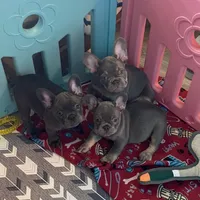 processed/a5c6a437-0d7d-45a8-9bfb-cb3676eeb314/facility/ea9fe797-6858-4dc6-ab24-f4250b1076b2