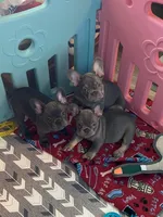 processed/a5c6a437-0d7d-45a8-9bfb-cb3676eeb314/facility/ea9fe797-6858-4dc6-ab24-f4250b1076b2