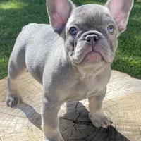 processed/a5c6a437-0d7d-45a8-9bfb-cb3676eeb314/facility/ef6efdfe-6239-4eab-aa02-284532313da9