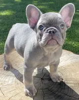 processed/a5c6a437-0d7d-45a8-9bfb-cb3676eeb314/facility/ef6efdfe-6239-4eab-aa02-284532313da9