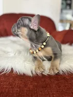 processed/a5c6a437-0d7d-45a8-9bfb-cb3676eeb314/listing/531f4c30-cc52-488b-aaf4-5d5d7537bf0e/2a878850-f59a-487e-a50b-b2da982a15ca