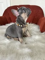 processed/a5c6a437-0d7d-45a8-9bfb-cb3676eeb314/listing/531f4c30-cc52-488b-aaf4-5d5d7537bf0e/6ef1494a-f0a5-44e4-97c0-28f43e00296f