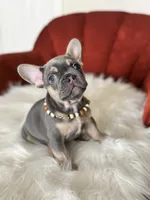 processed/a5c6a437-0d7d-45a8-9bfb-cb3676eeb314/listing/531f4c30-cc52-488b-aaf4-5d5d7537bf0e/bbd16d34-a486-44e1-8e47-a2db6dd9ba9d