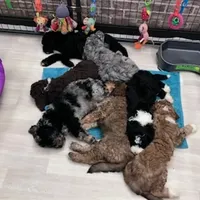 processed/a5cc13e7-7f80-4db3-bb8b-8ed0e241e4f4/facility/170775aa-8825-4c65-a9c9-093ff2069ebe