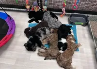 processed/a5cc13e7-7f80-4db3-bb8b-8ed0e241e4f4/facility/170775aa-8825-4c65-a9c9-093ff2069ebe