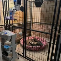 processed/a5cc13e7-7f80-4db3-bb8b-8ed0e241e4f4/facility/3fd04b5e-f683-4648-9c27-c038b5c5d707