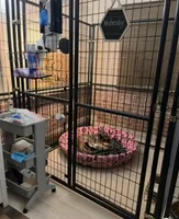 processed/a5cc13e7-7f80-4db3-bb8b-8ed0e241e4f4/facility/3fd04b5e-f683-4648-9c27-c038b5c5d707