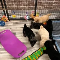 processed/a5cc13e7-7f80-4db3-bb8b-8ed0e241e4f4/facility/aabf2166-28a6-4738-9dfa-bc48126a6ecc