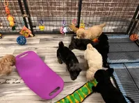 processed/a5cc13e7-7f80-4db3-bb8b-8ed0e241e4f4/facility/aabf2166-28a6-4738-9dfa-bc48126a6ecc